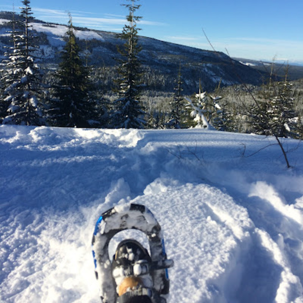 Meet your Posher, Alice